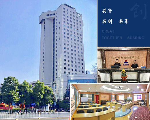 关于旺和 About Us  /  组织架构_旺和招标咨询有限公司